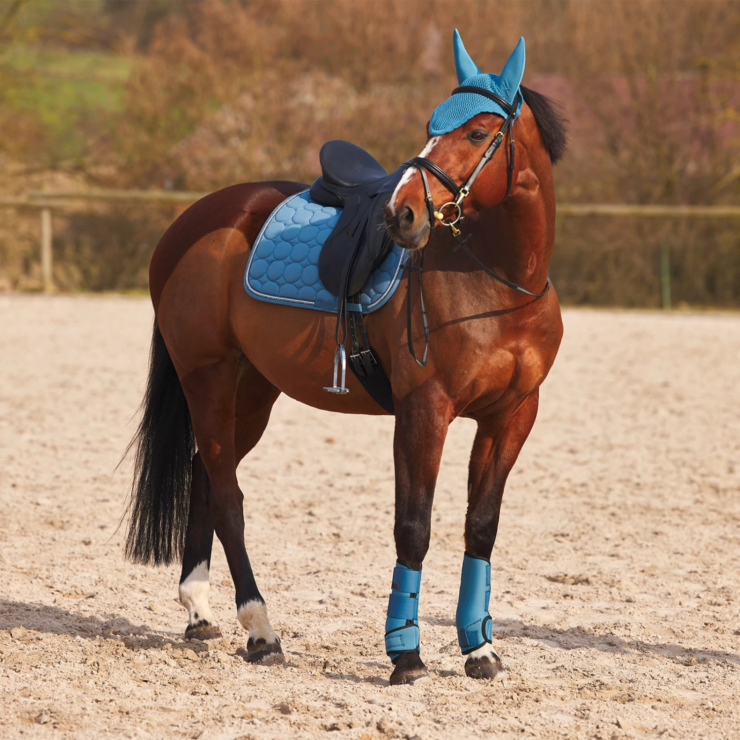Horze Marquess Dressage Saddle Pad - Aegean Blue - Image 2