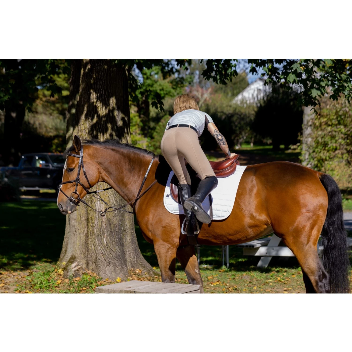 Horze Ella Womens Pull-On Knee Patch Breeches - Tan - Image 2