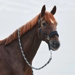 Horze Kiel Halter With Fleece - Black