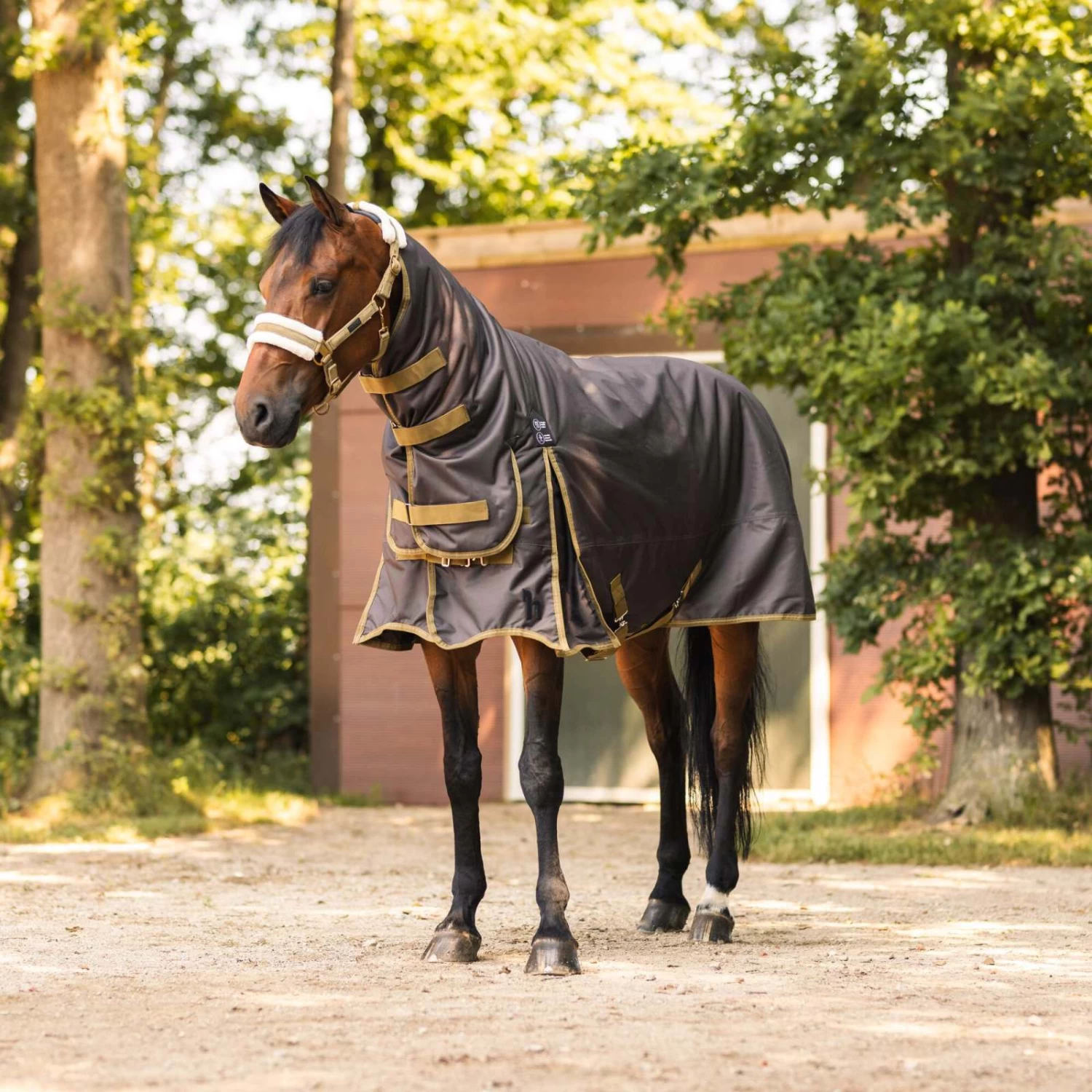 Horze Avalanche Heavyweight Combo Turnout Blanket 350g - Chocolate Martini - Image 8