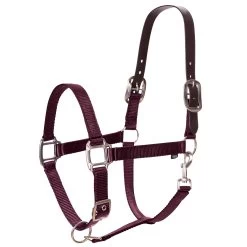 Equinavia Loki Breakaway Halter - Wine Red