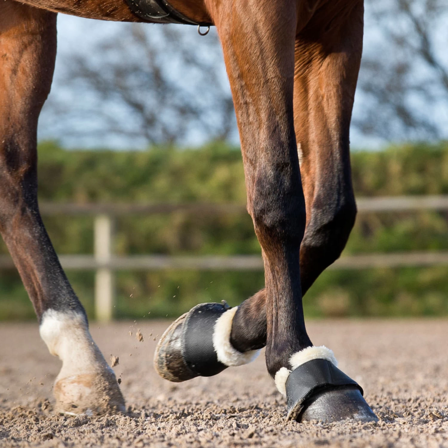 Horze Signature Bell Boots - Black - Image 8