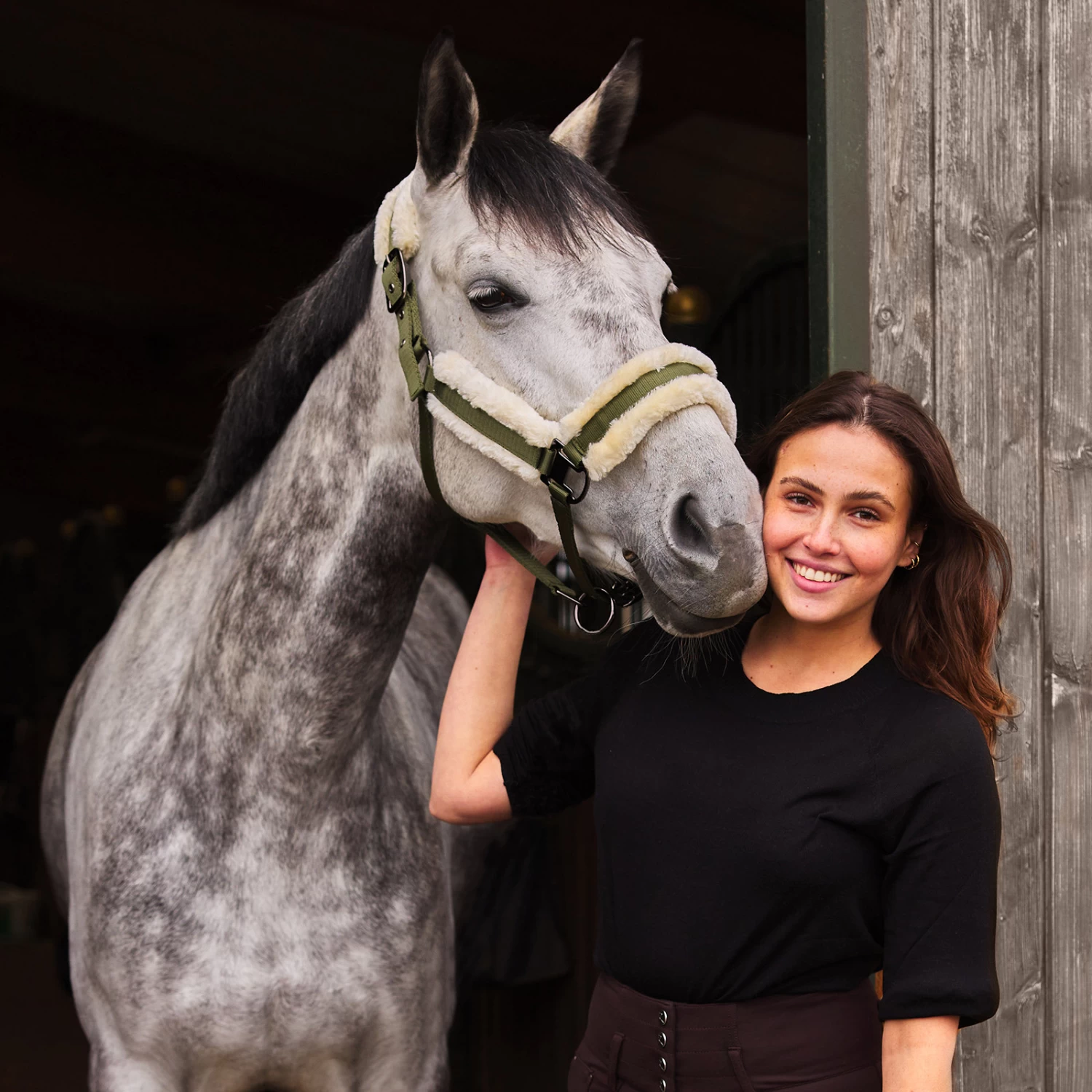 Horze Marquess Halter - Burnt Olive - Image 3