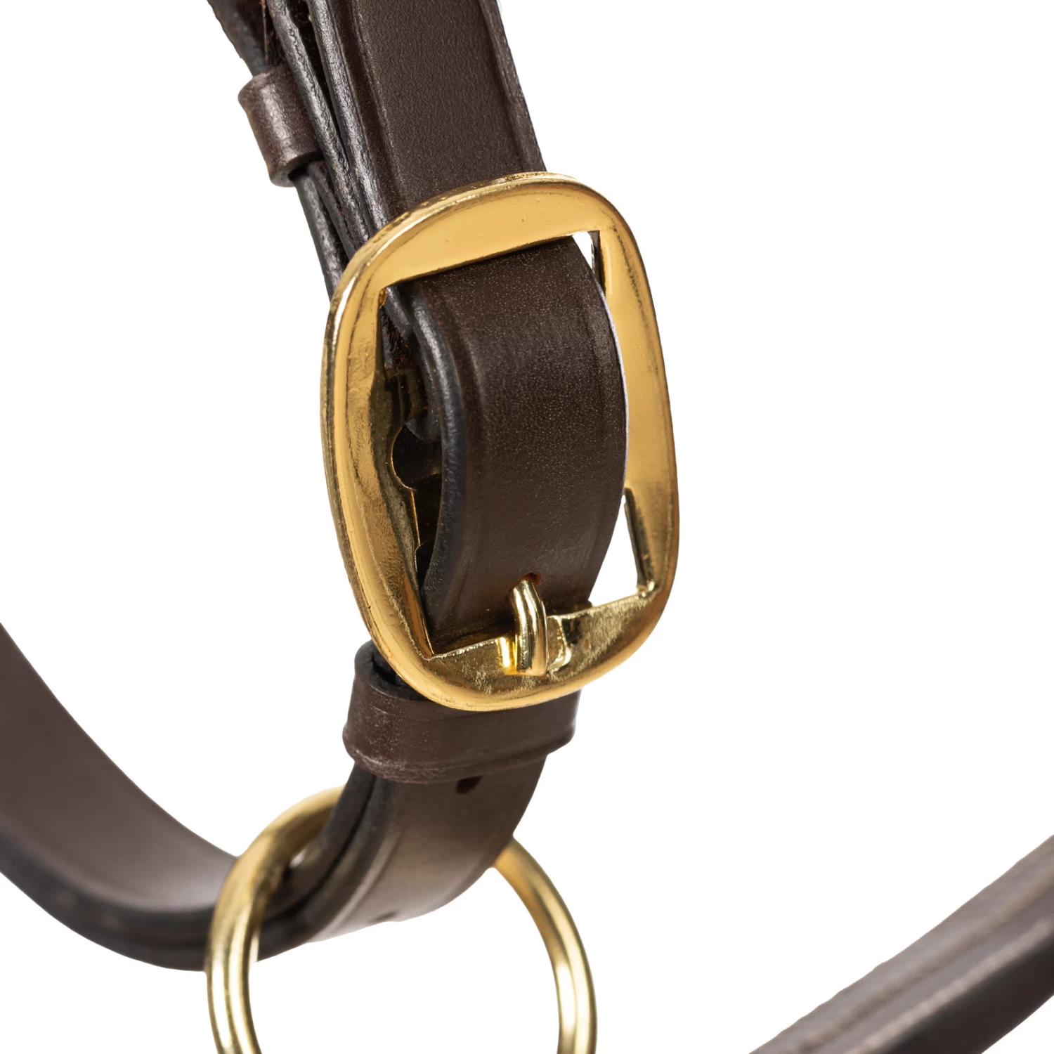 Equinavia Valkyrie Triple Stitched Leather Halter - Chocolate Brown - Image 3