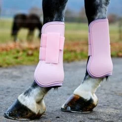 Horze Chicago Tendon Open Front Horse Boots - Lady Light Pink