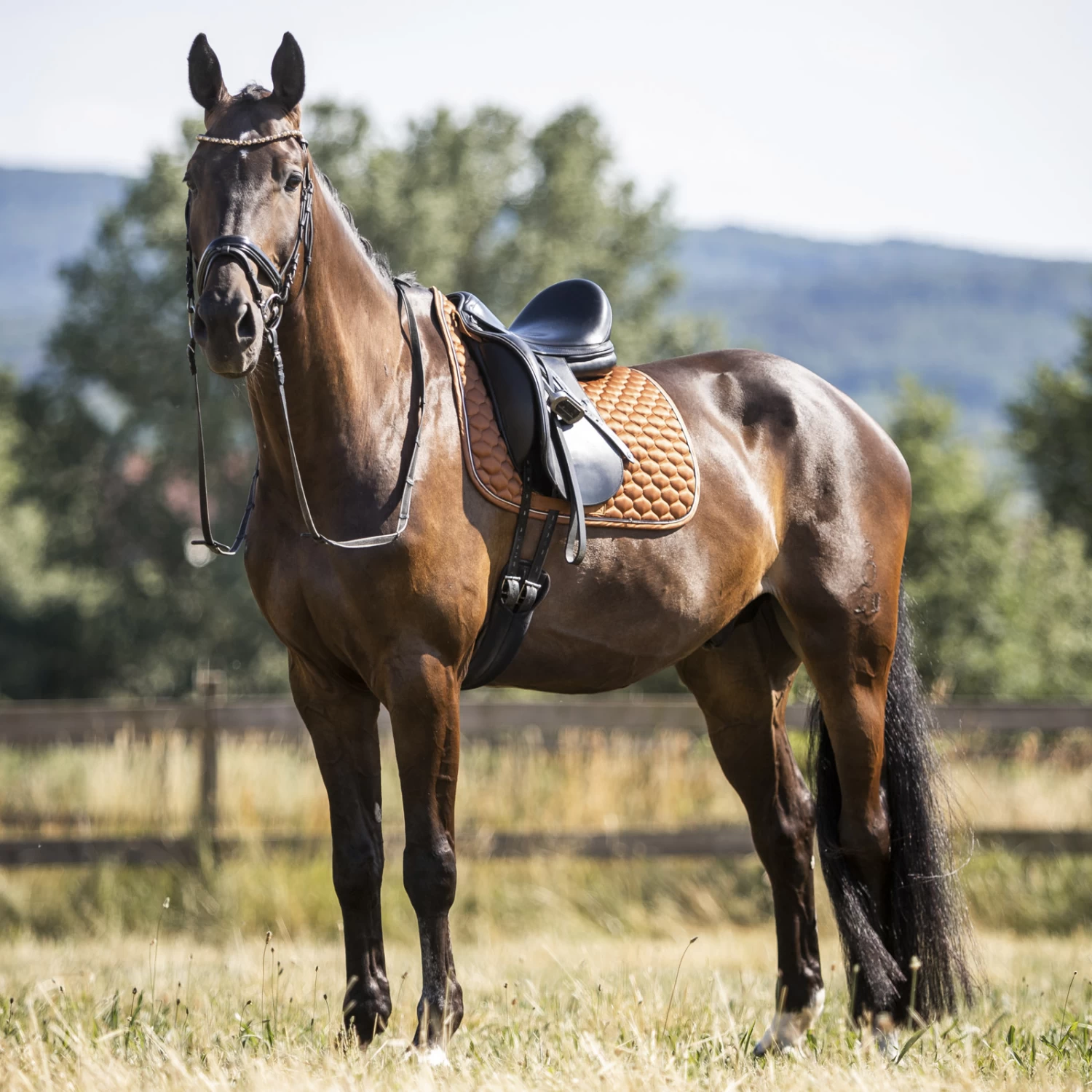 Horze Sandnes Dressage Saddle Pad - Caramel Cafe - Image 2