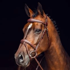 Horze Sion Bridle With Reins - Brown