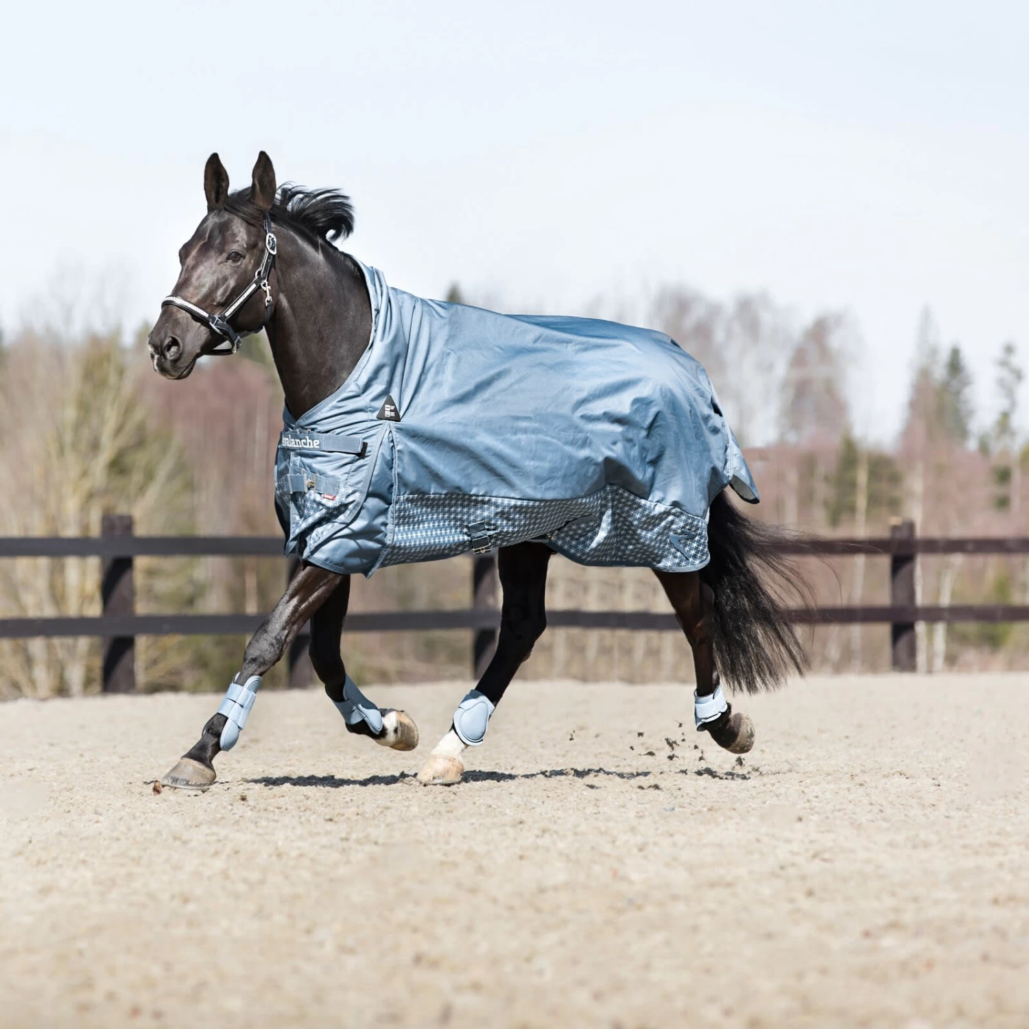 Horze Chicago Fetlock Hind Horse Boots - Cashmere Blue - Image 2