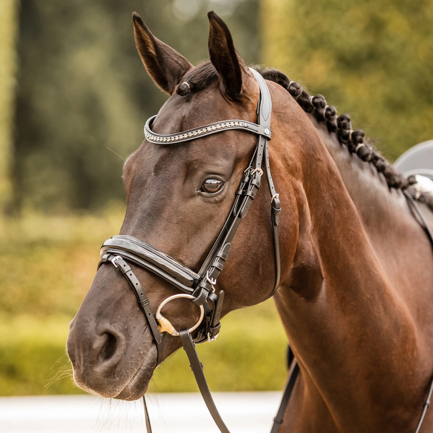 Horze Classic Dressage Ergonomic Bridle With Curved Browband - Brown/Brown - Image 8