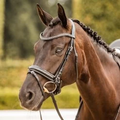 Horze Classic Dressage Ergonomic Bridle With Curved Browband - Black/Black
