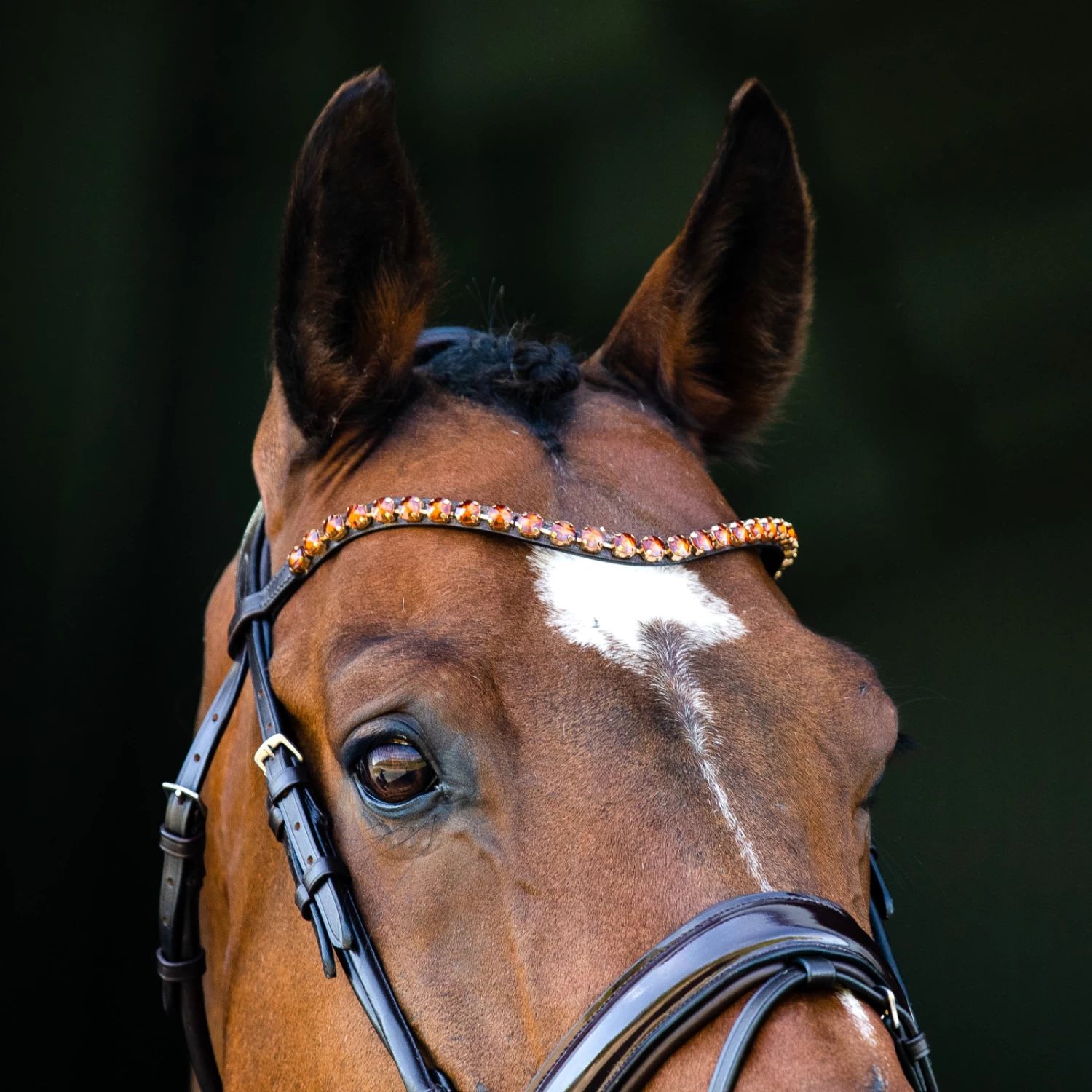 Horze Clermont Ergonomic Crystal Bridle - Dark Brown - Image 3