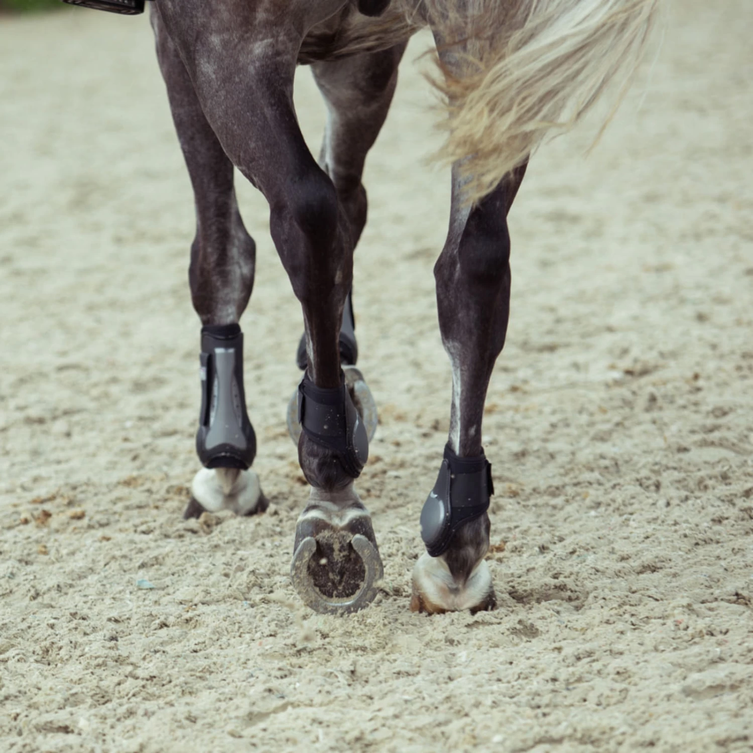 Horze Impact Air Shock Fetlock Boots - Black - Image 12