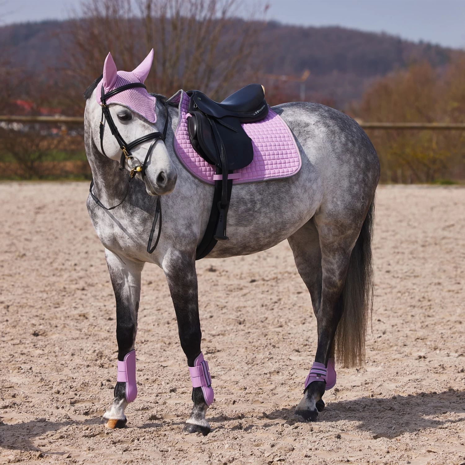 Horze Adepto Tendon Boots - Dawn Pink - Image 3
