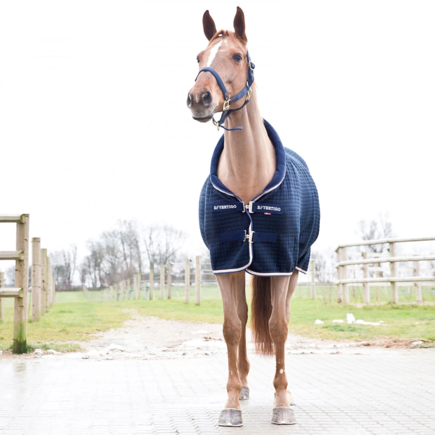 B Vertigo Theo Thermo Wool And Acrylic Stable Blanket - Dark Navy - Image 4