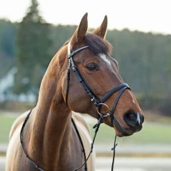 Horze Weston Flash Bridle W/ Reins - Black