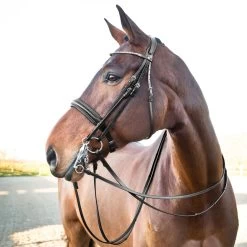 Horze Vienna Weymouth Dressage Bridle - Black