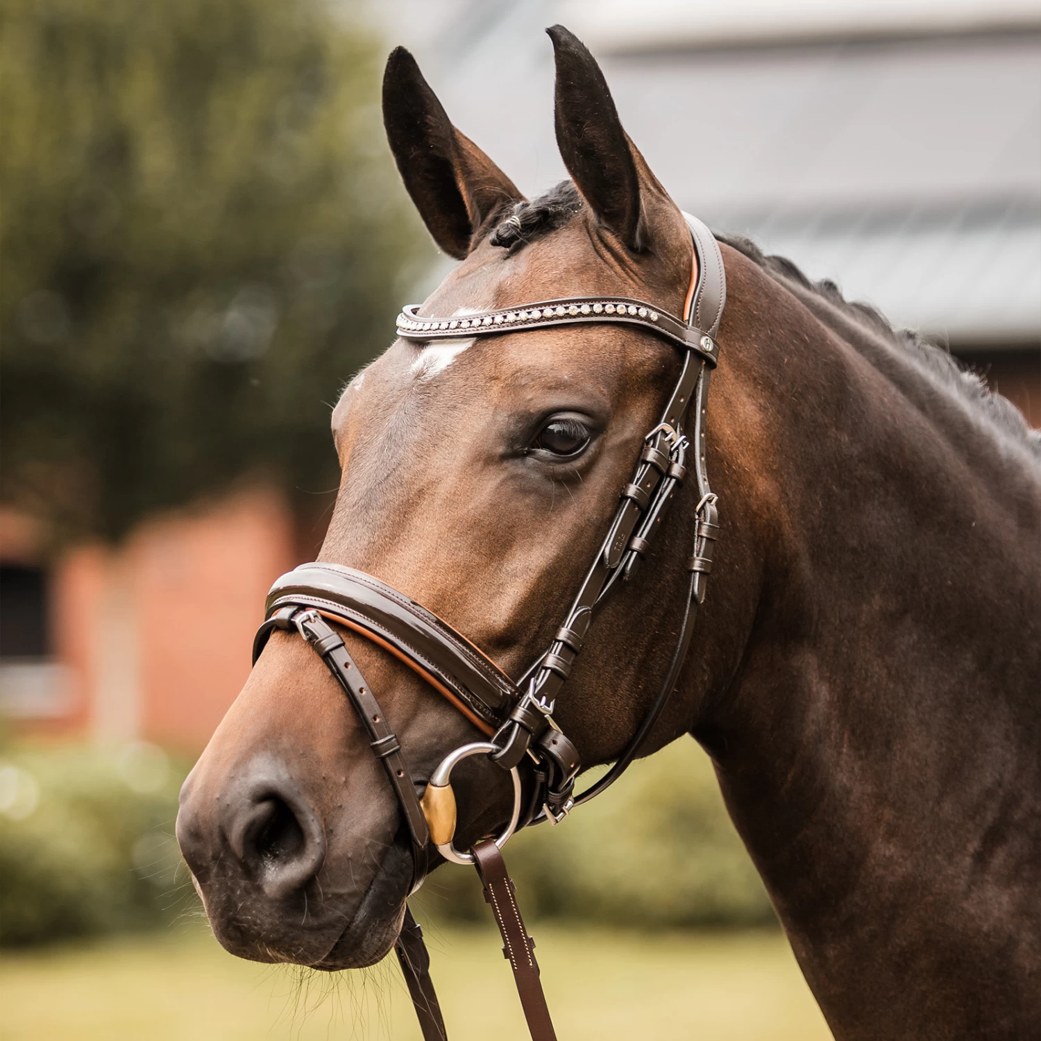 Horze Classic Dressage Ergonomic Bridle With Curved Browband - Brown/Brown