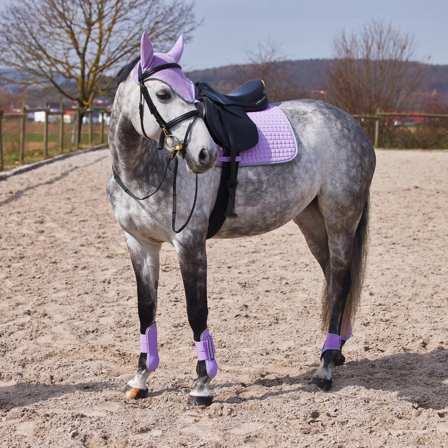 Horze Adepto Fetlock Boots - Languid Lavender Purple - Image 4