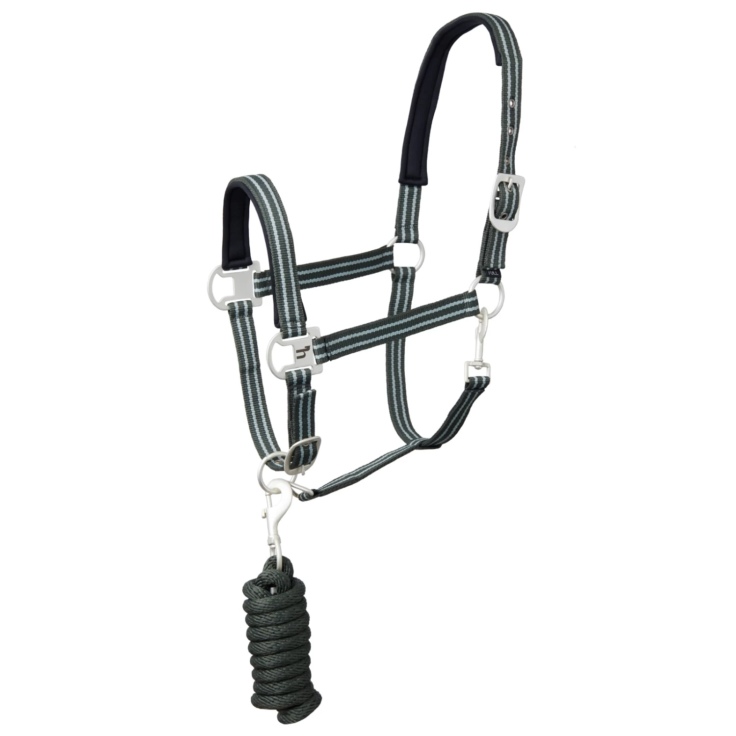 Horze Bari Neoprene Padded Halter & Lead Set - Climbing Ivy Green