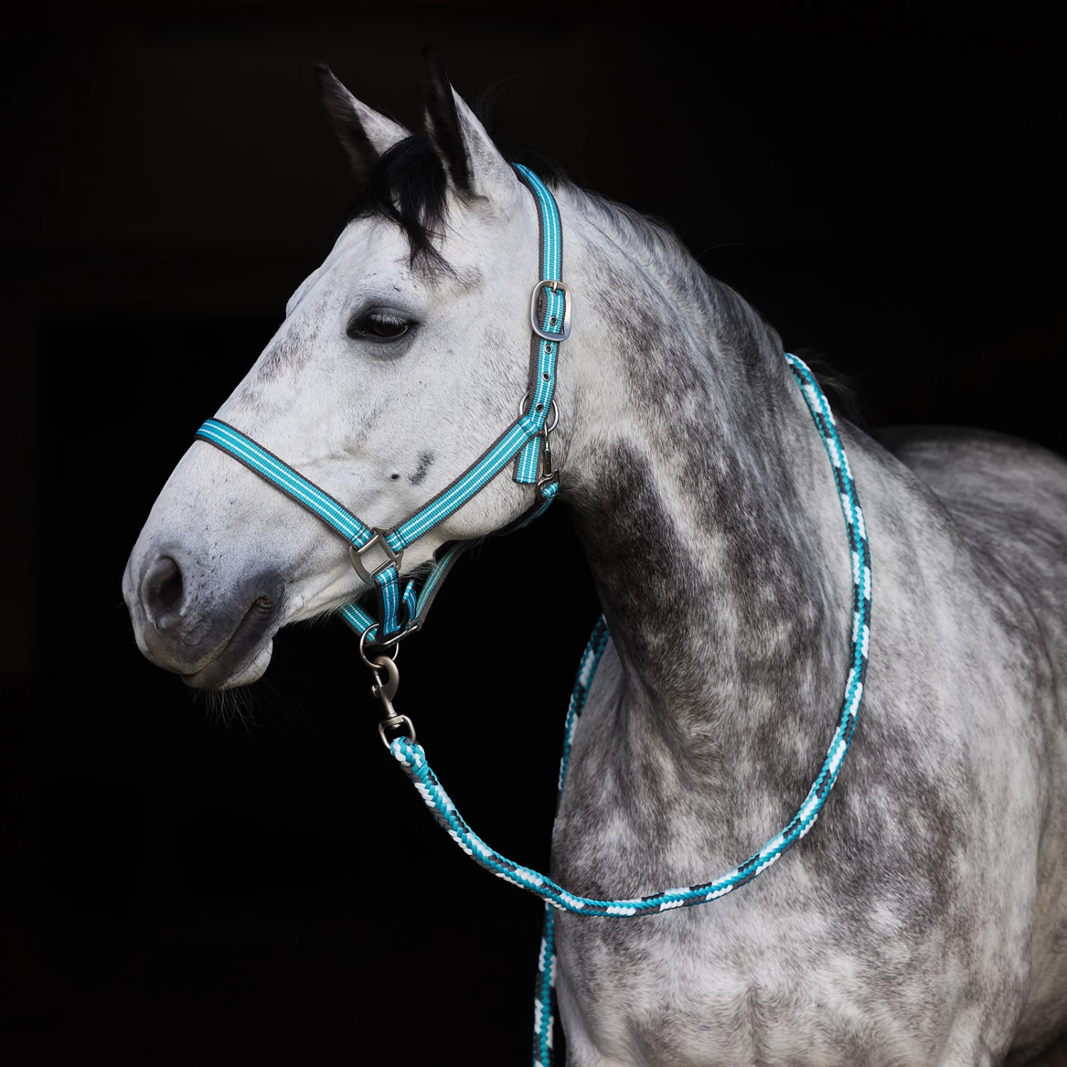 Horze Adepto Halter - Canal Blue - Image 2