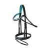 Horze Magical Carousel Pony Bridle With Crystal Curved Noseband - Green Blue Slate