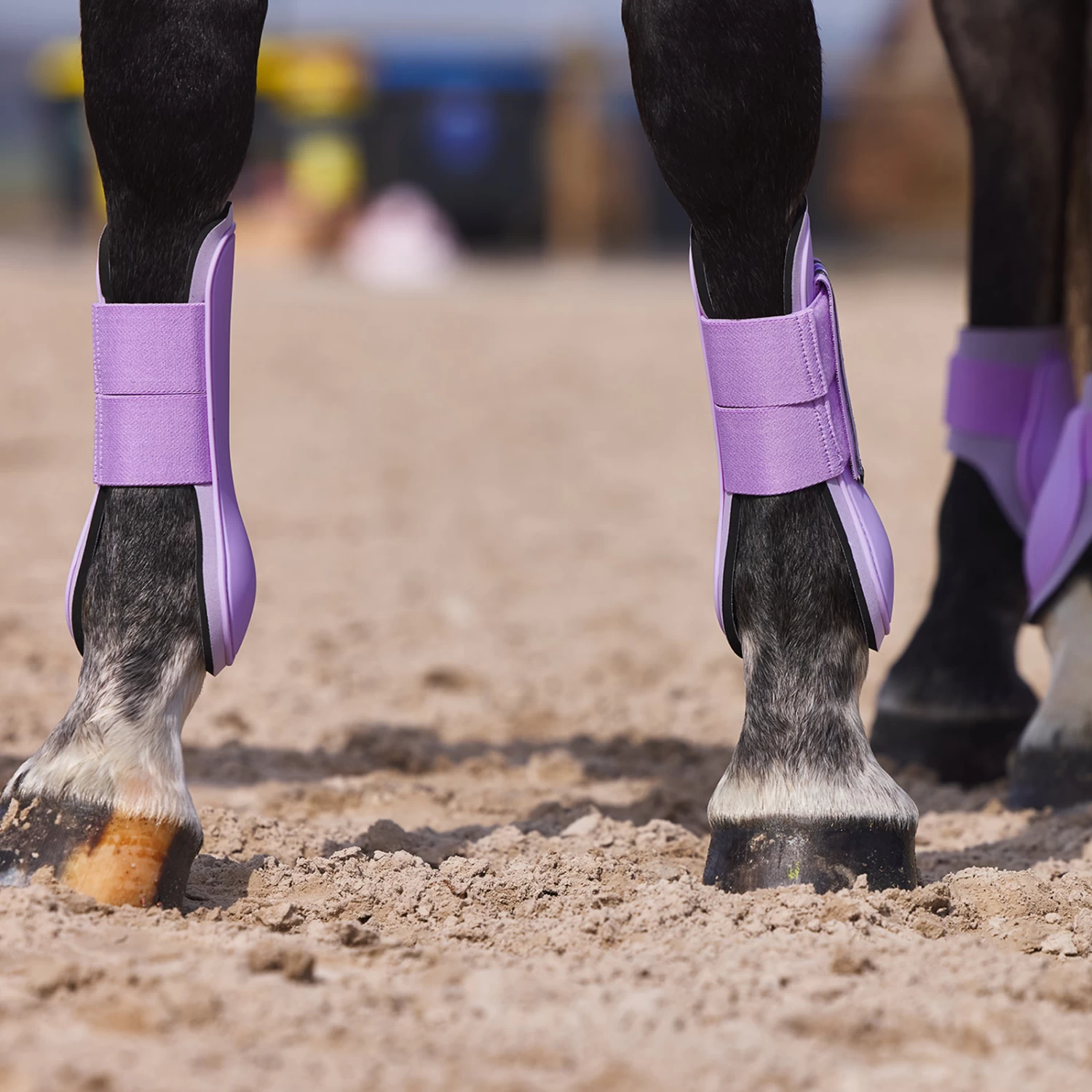 Horze Adepto Tendon Boots - Languid Lavender Purple - Image 5