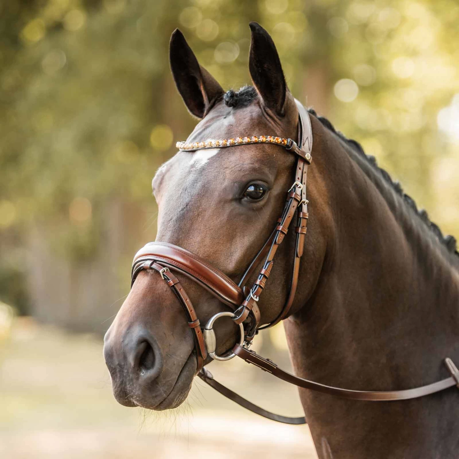Horze Ergonomic Snaffle Bridle With Curved Crystal Browband - Black/Black - Image 5