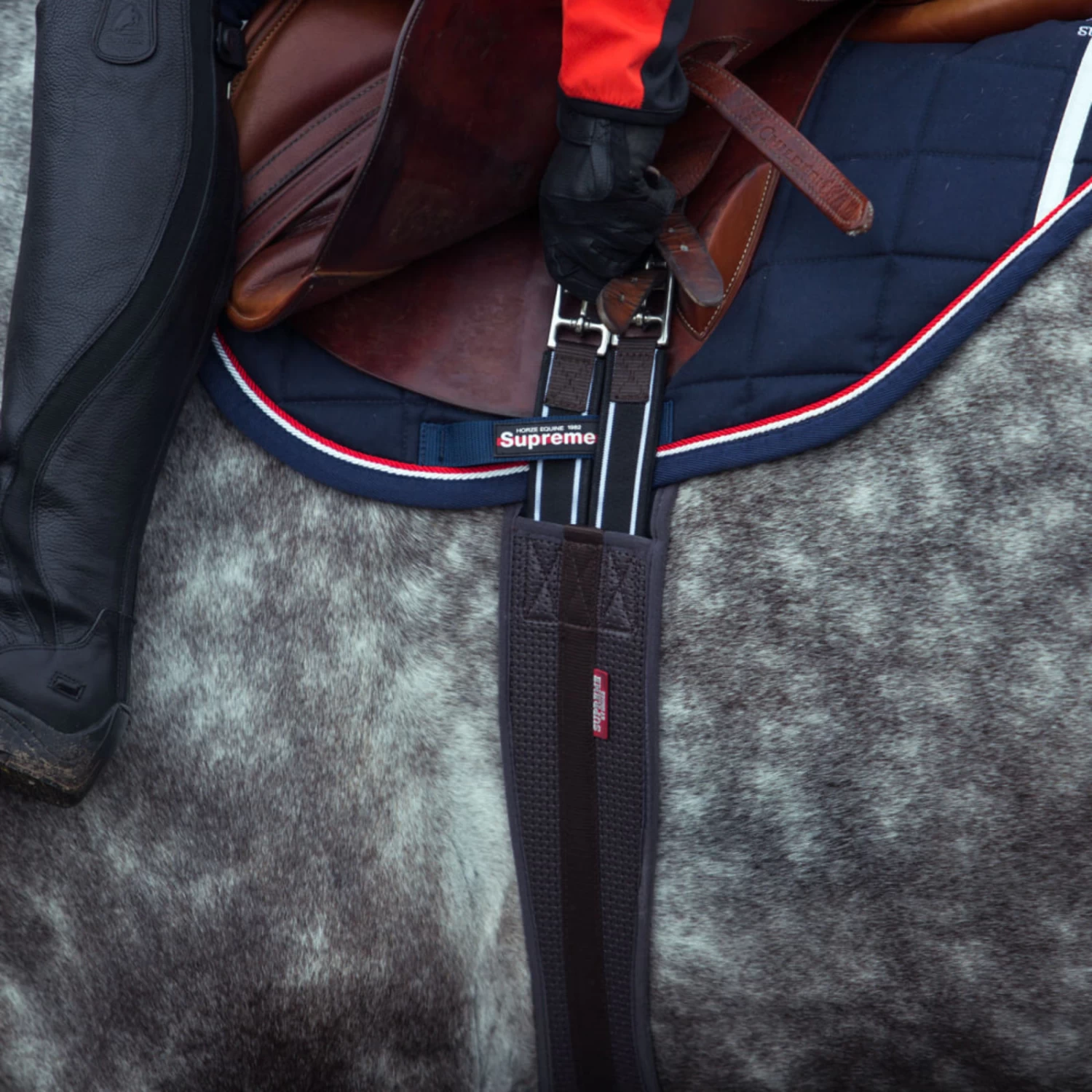 Horze Dallas All Purpose Girth - Black - Image 2