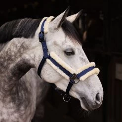 Horze Marquess Halter - Dark Navy