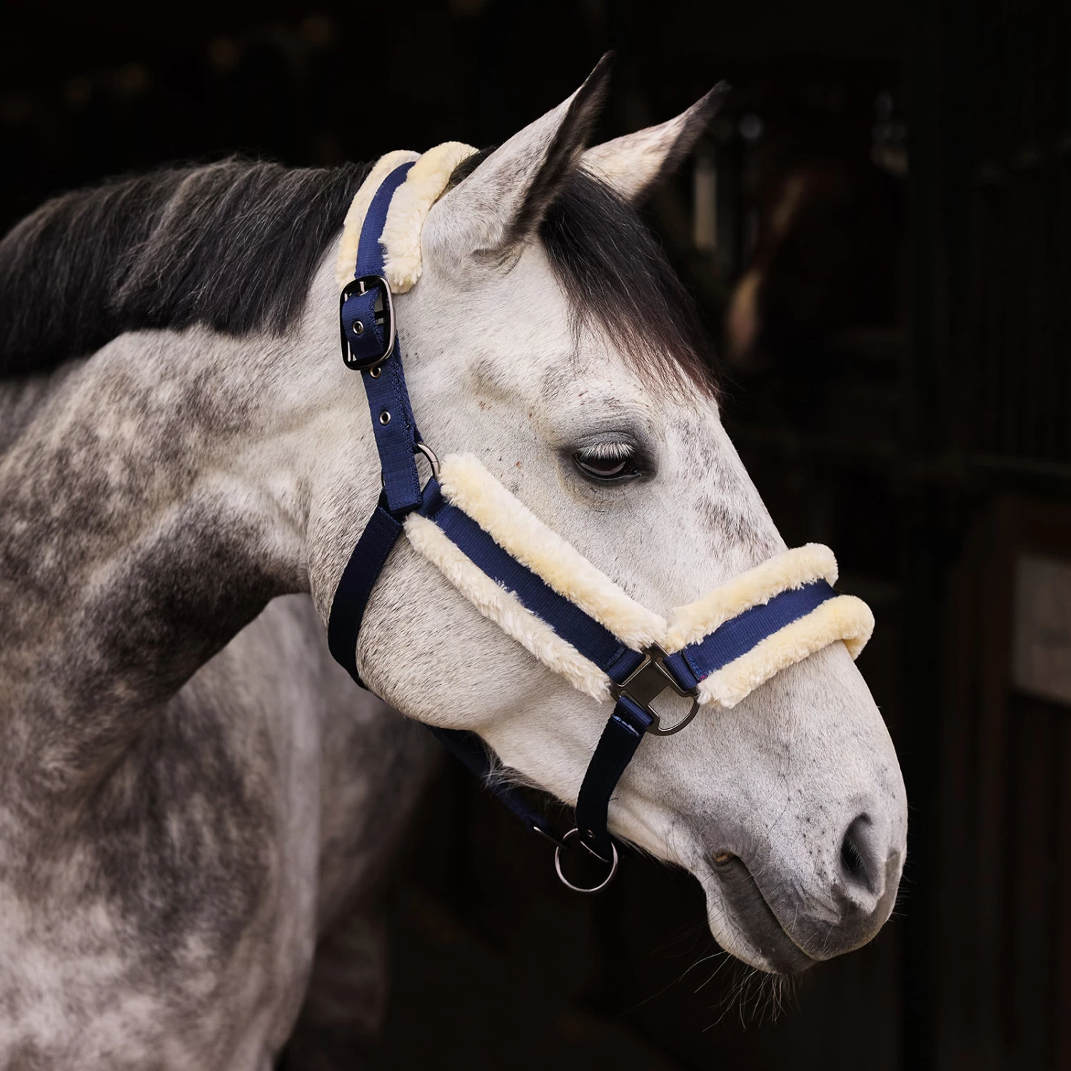 Horze Marquess Halter - Burnt Olive - Image 7