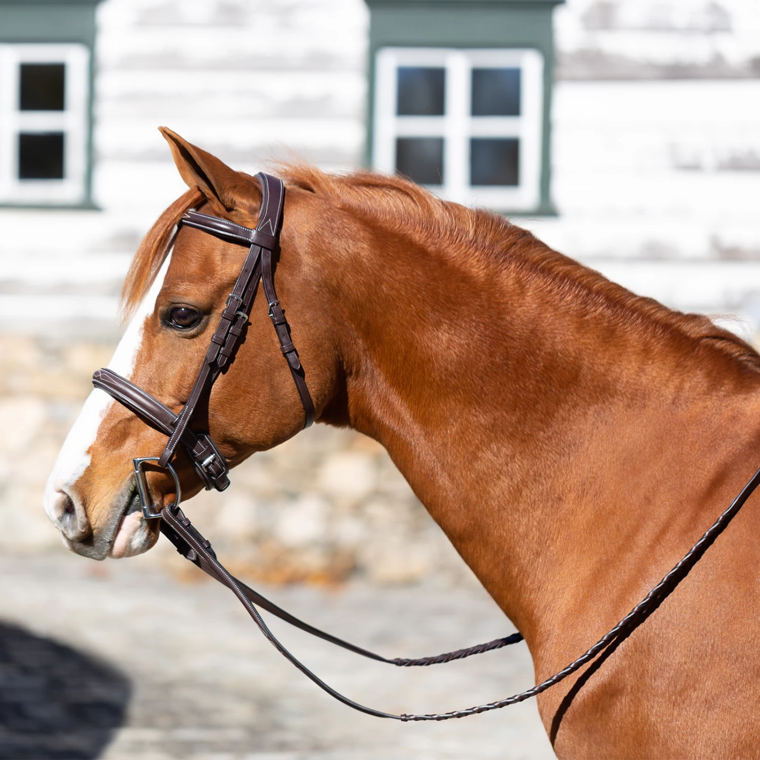Equinavia Valkyrie Pony Fancy Stitched Bridle - Chocolate Brown - Image 13