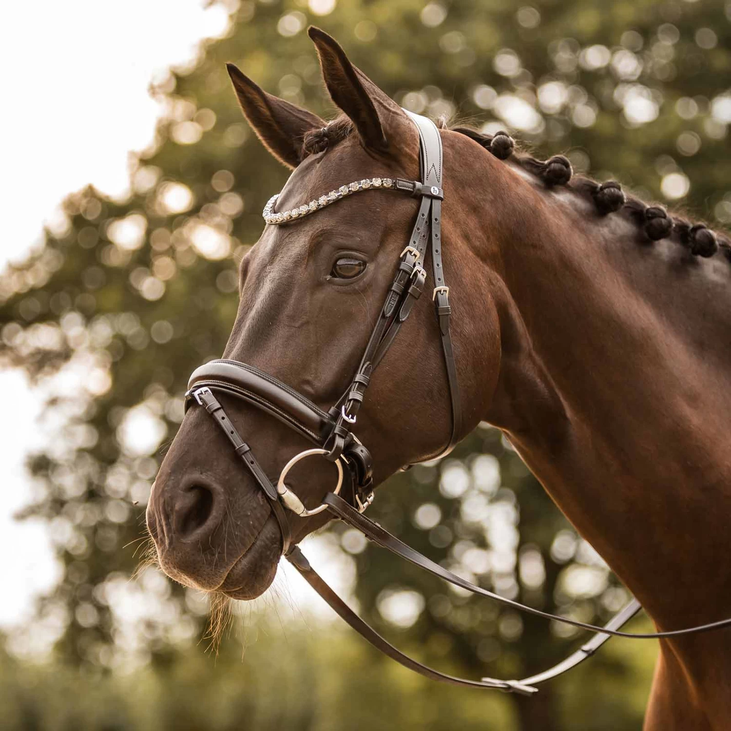 Horze Ergonomic Snaffle Bridle With Curved Crystal Browband - Black/Black