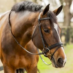 Equinavia Saga Dressage Crank Noseband Bridle & Reins - Black