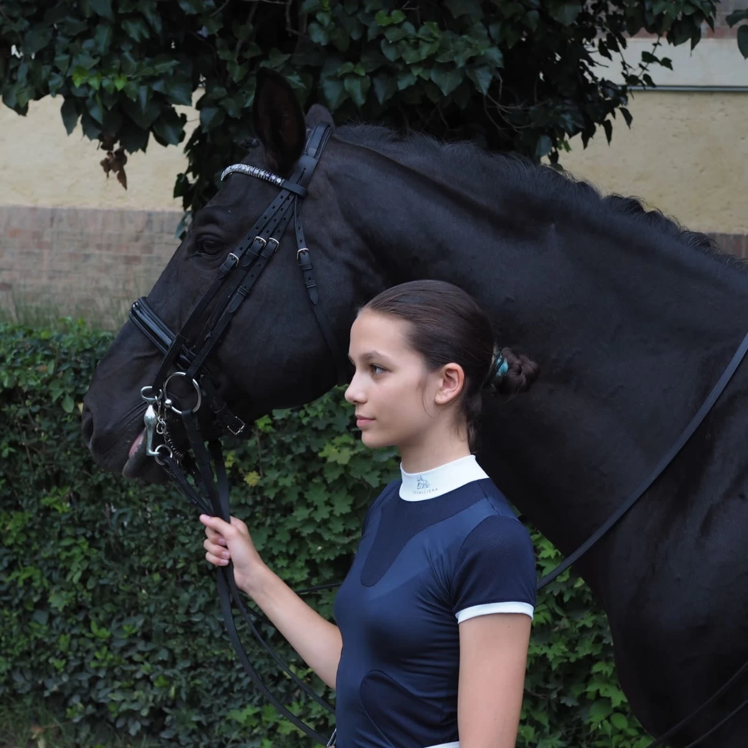 Cavalliera High Style Short Sleeve Riding Show Shirt - Navy Dark Blue - Image 3