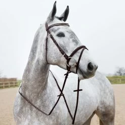 Horze Weston Flash Bridle W/ Reins - Brown