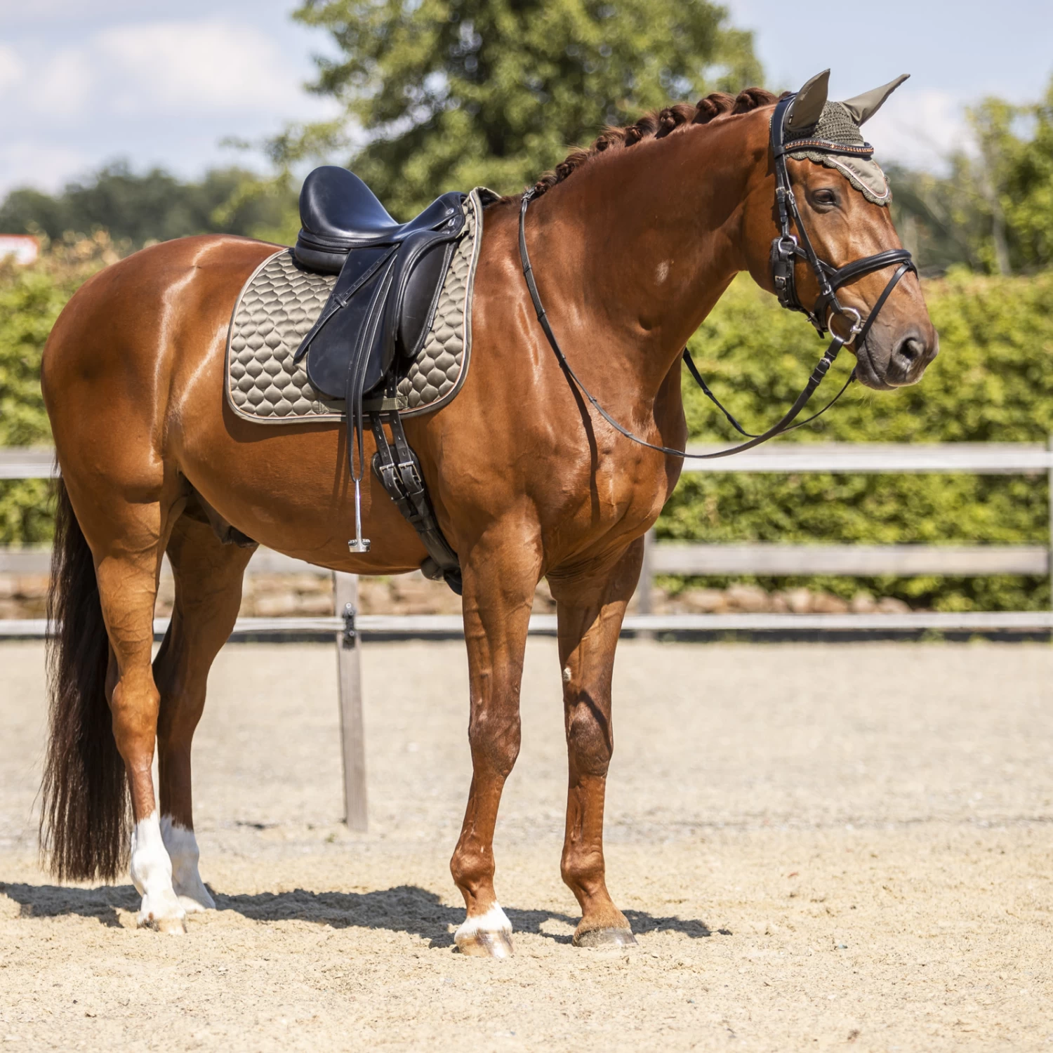 Horze Sandnes Dressage Saddle Pad - Dark Olive - Image 3