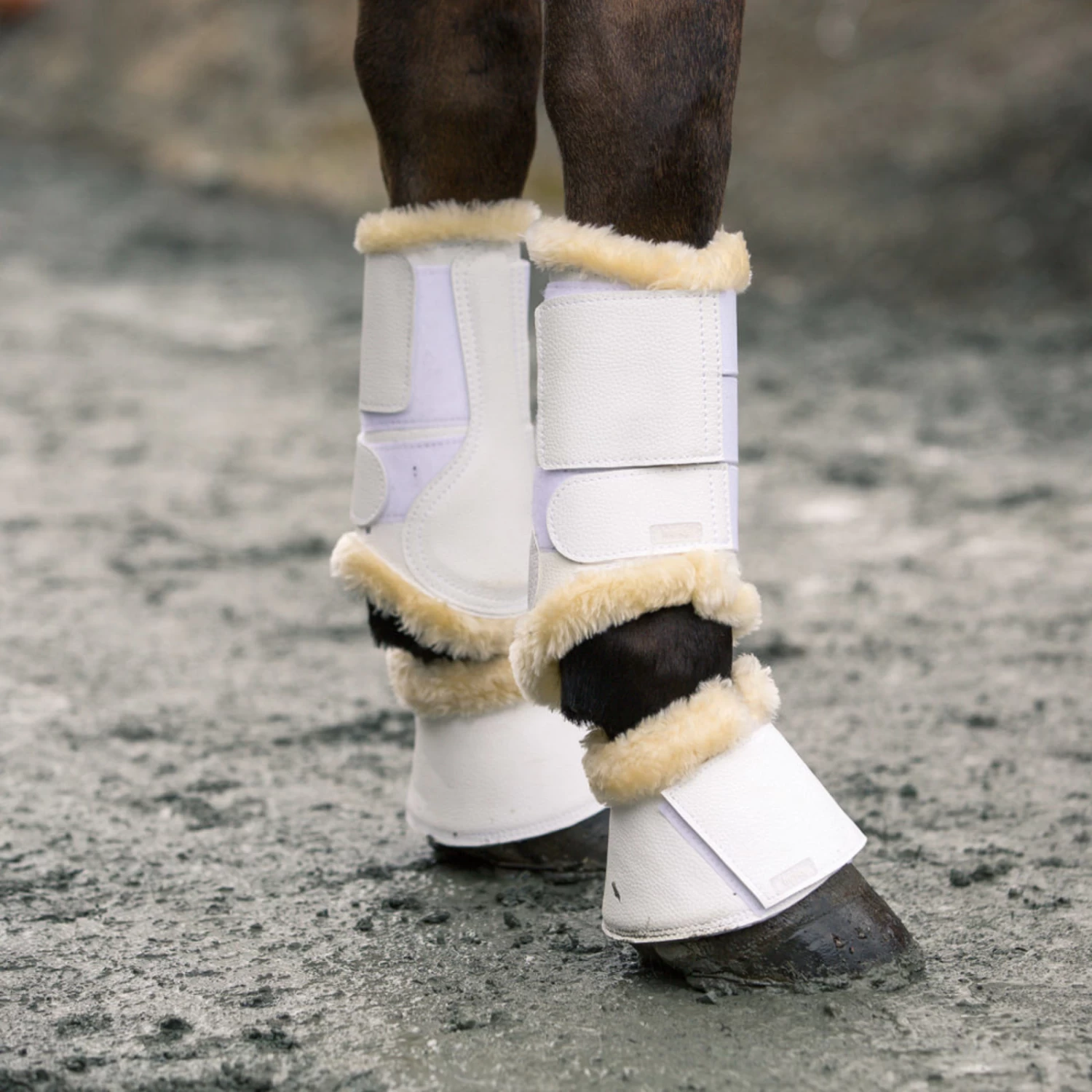 Horze Signature Bell Boots - White - Image 3