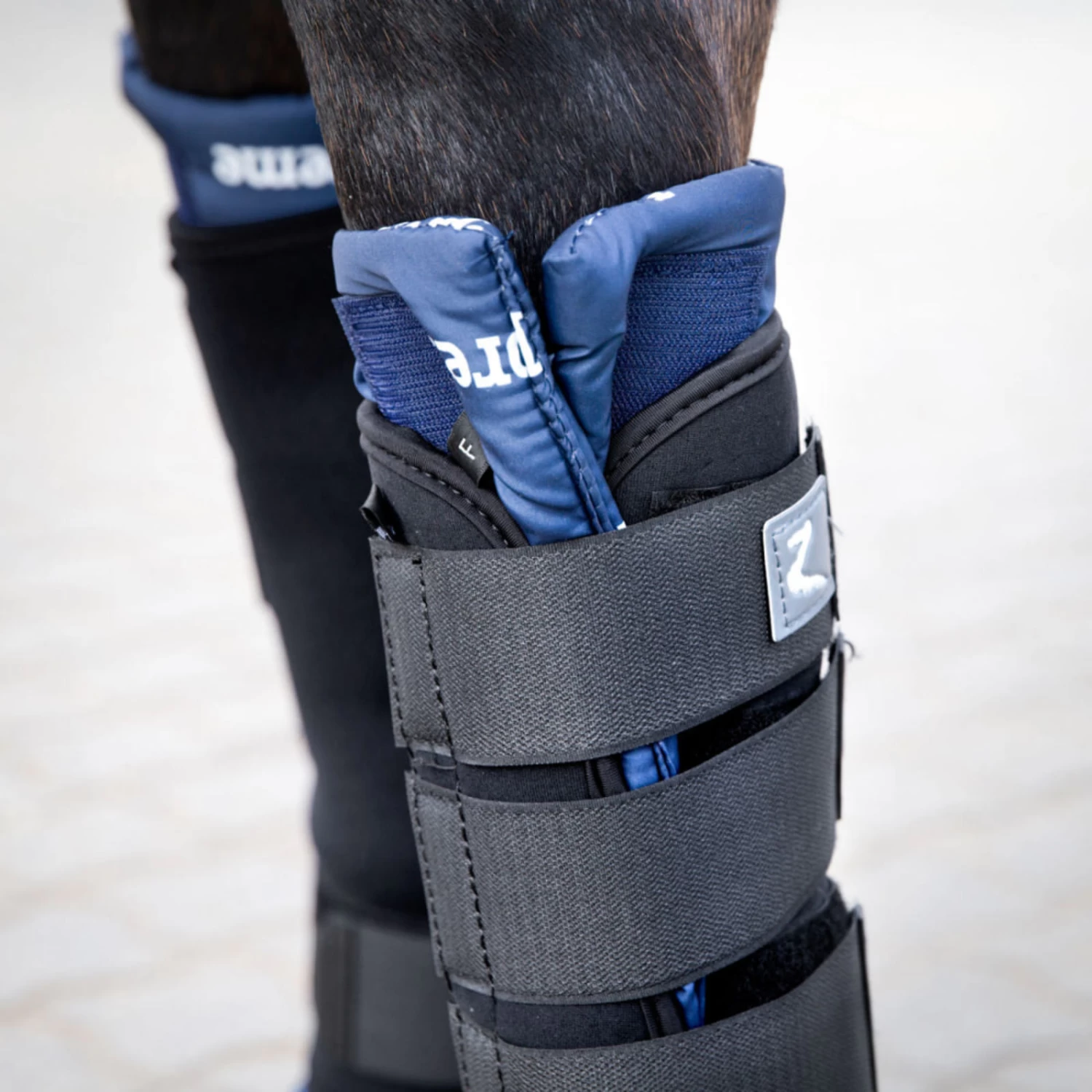 Horze Stable Boots Pro - Front - Black - Image 5