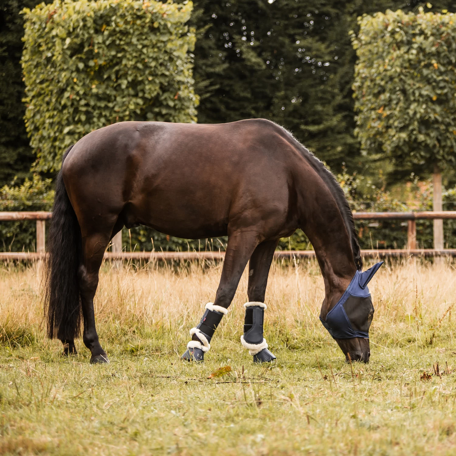 Horze Cayman Fly Mask - Blue - Image 9