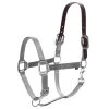 Equinavia Loki Breakaway Halter - Silver Sconce Gray