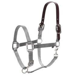 Equinavia Loki Breakaway Halter - Silver Sconce Gray