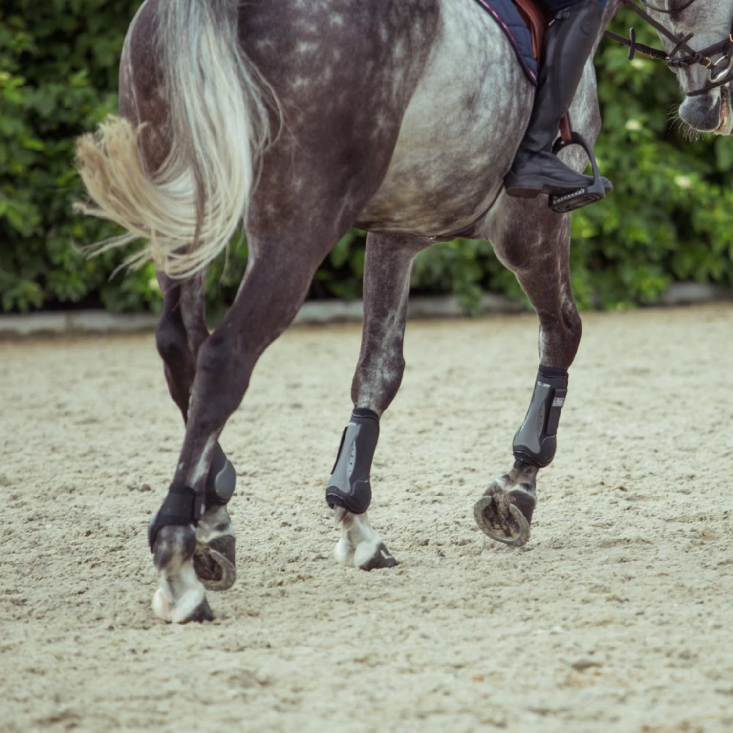 Horze Impact Air Shock Tendon Boots - Black - Image 11