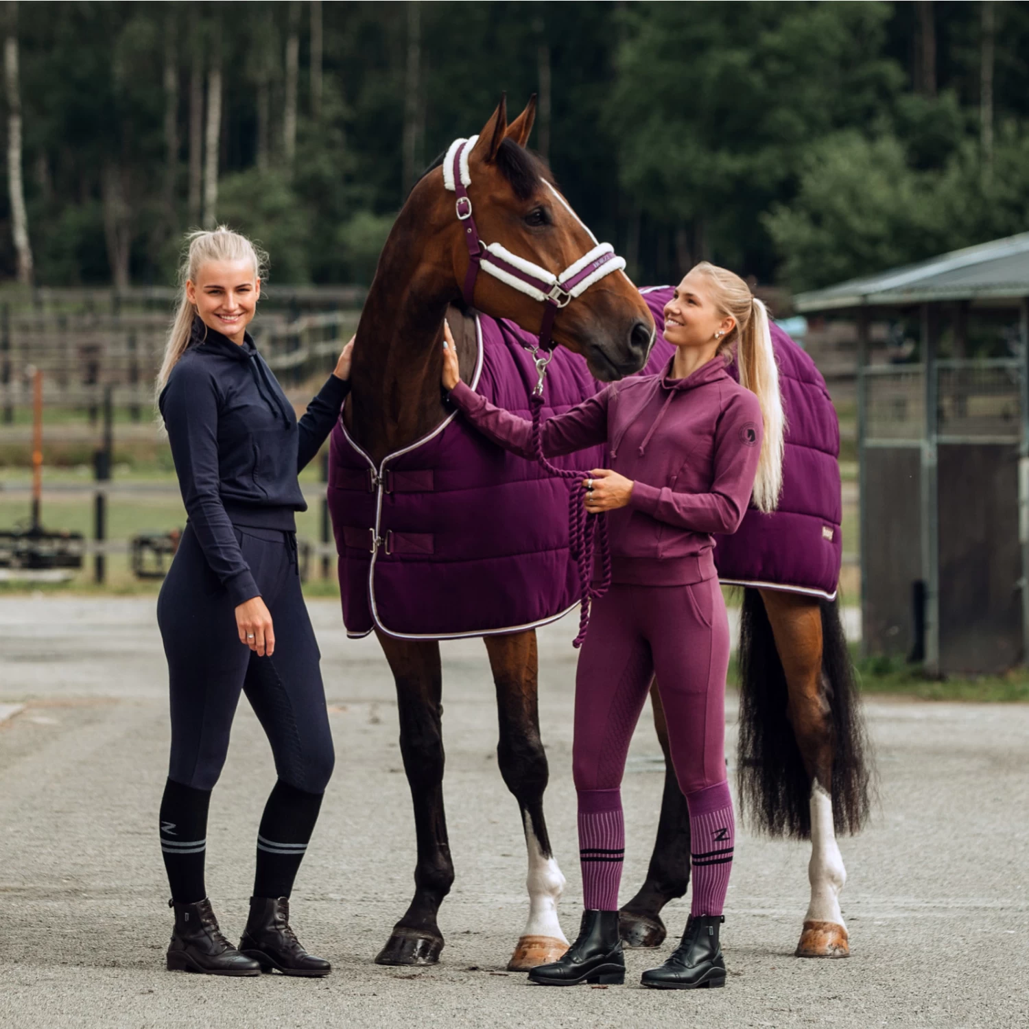 Horze Elinor Womens Cotton Stretch Riding Tights - Dark Navy - Image 5