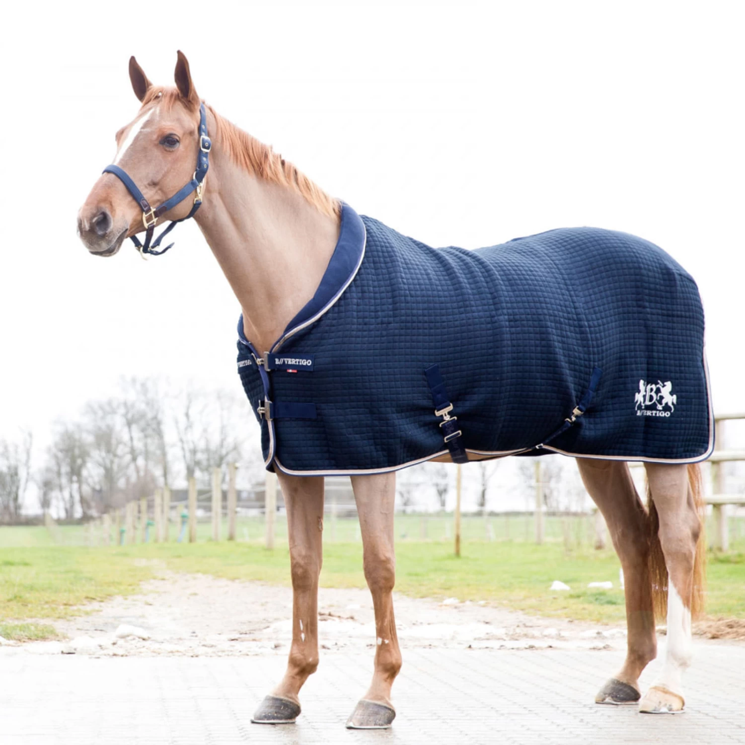 B Vertigo Theo Thermo Wool And Acrylic Stable Blanket - Dark Navy