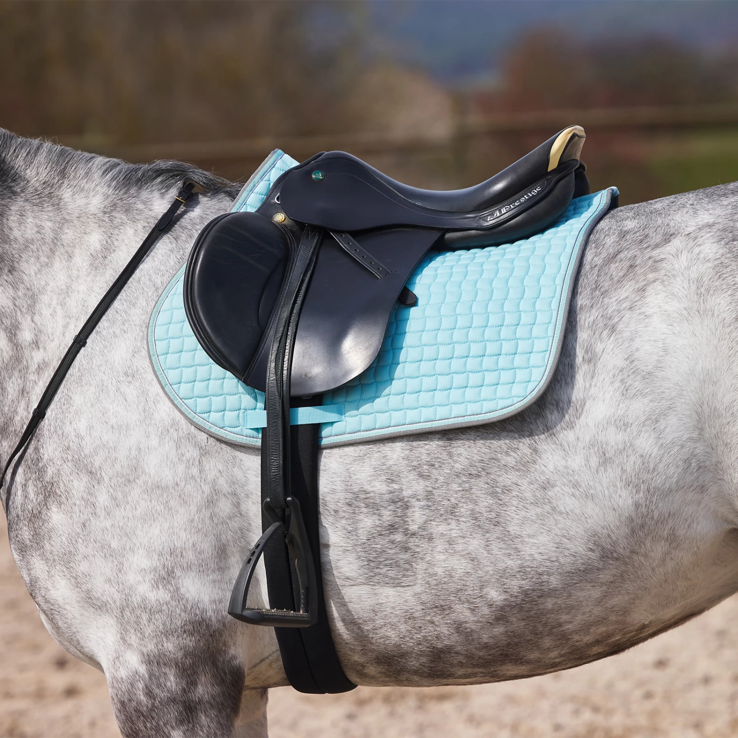 Horze Adepto All Purpose Saddle Pad - Canal Blue - Image 4