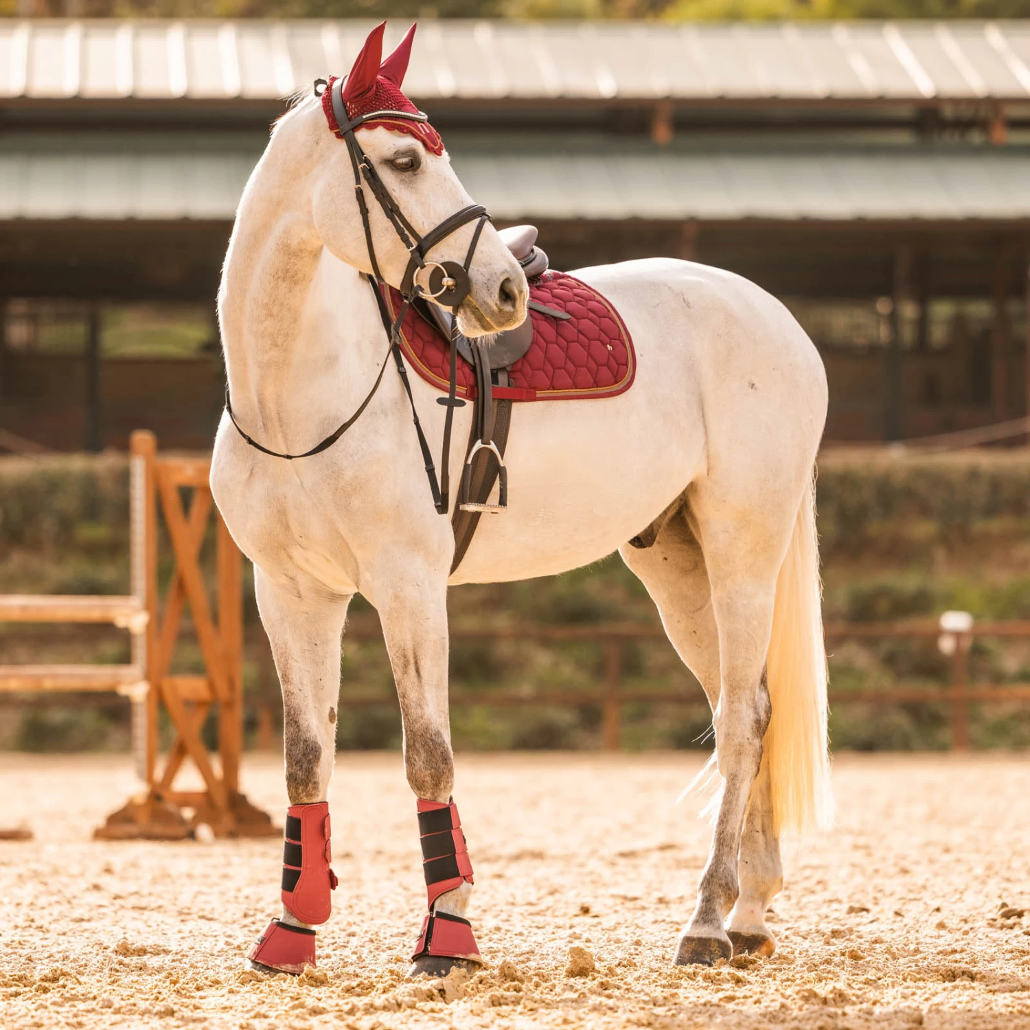 Horze Kenya Anti Slip All Purpose Saddle Pad - Rhubarb Dark Red - Image 5