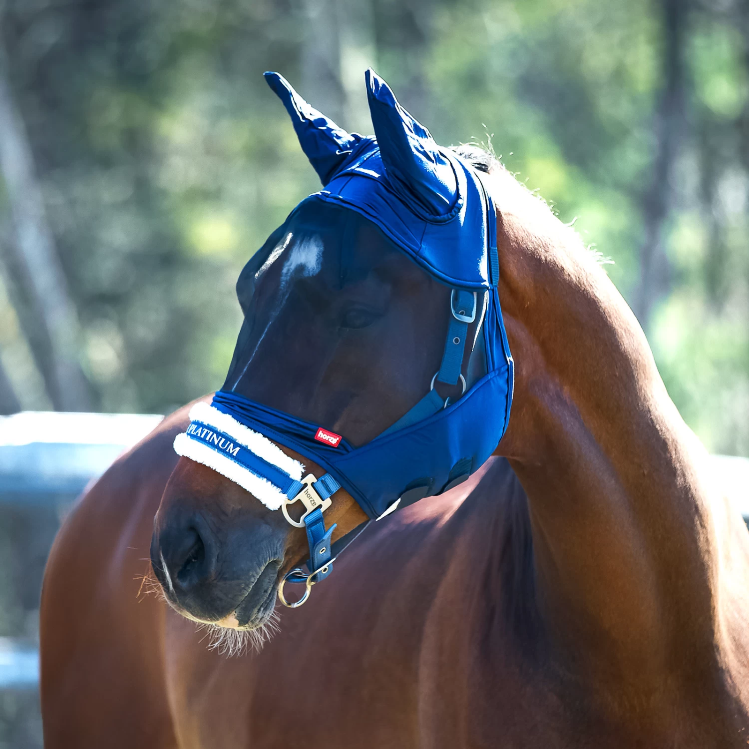 Horze Cayman Fly Mask - Blue - Image 10