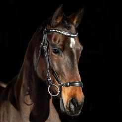 Horze Bergen Leather Remont Bridle - Black