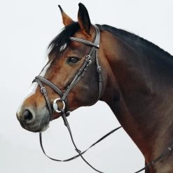 Horze Buxton Flash Bridle With Reins - Black