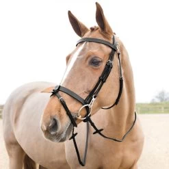 Horze Sparta Hunter Bridle - Black